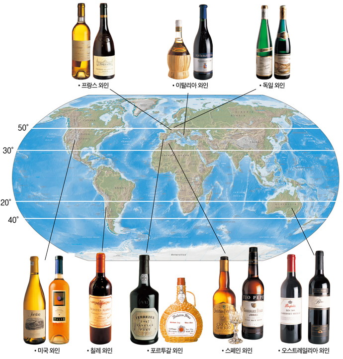와인 - xm2-2 01 와인생산지역.jpg