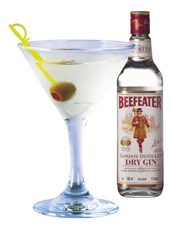 진 - xm3-3 01 진-마티니.jpg