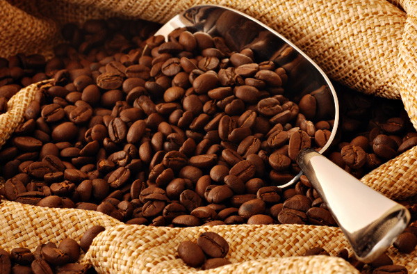 커피의 개요 - xm9-2 커피원두.jpg