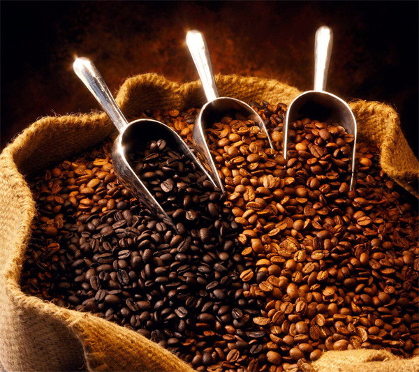 커피의 종류 - xm9-4 아라비카.jpg