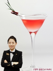 고양이 걸음 Cat Walk